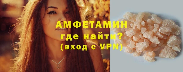 прущие грибы Заволжье