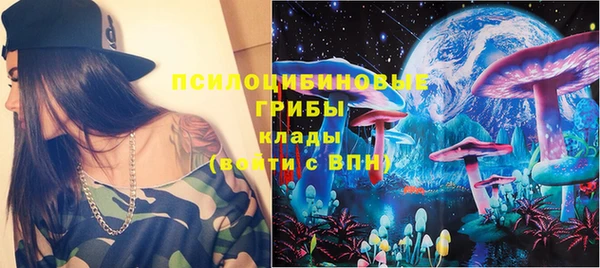 прущие грибы Заволжье