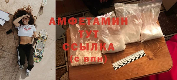 прущие грибы Заволжье