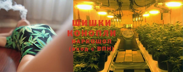 прущие грибы Заволжье