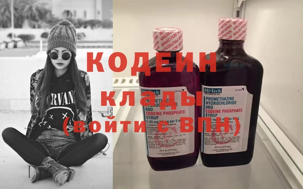 прущие грибы Заволжье