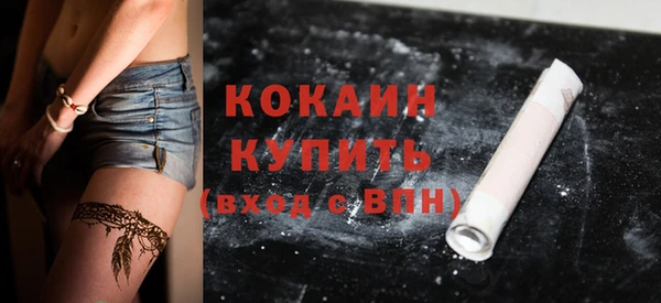 прущие грибы Заволжье
