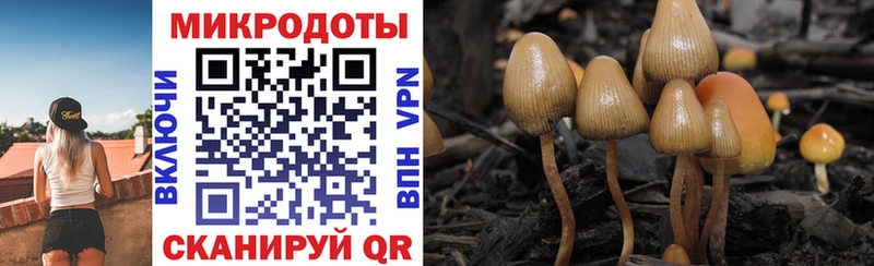 Псилоцибиновые грибы GOLDEN TEACHER  Купить закладки  Завитинск 