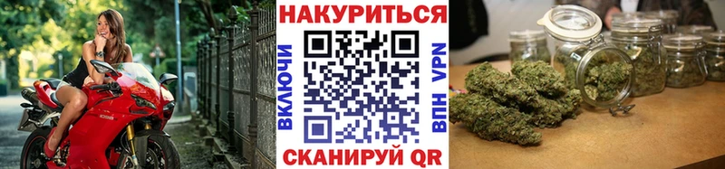 Конопля Bruce Banner  Купить закладки  Завитинск 